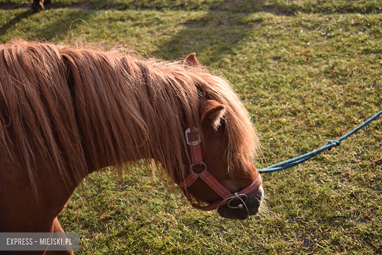 II dzień Festiwalu Lata za nami