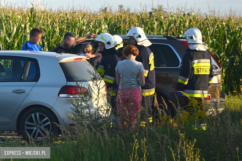 Wypadek w Kostomłotach