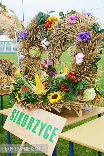 Gminne dożynki w Kostomłotach