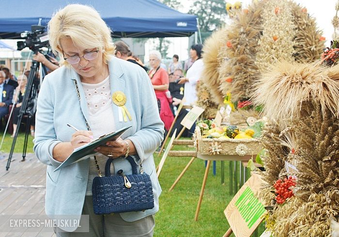 Gminne dożynki w Kostomłotach