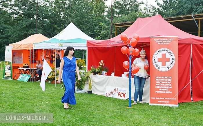 Gminne dożynki w Kostomłotach