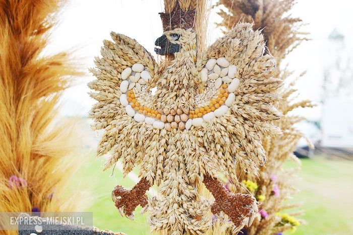 Gminne dożynki w Kostomłotach