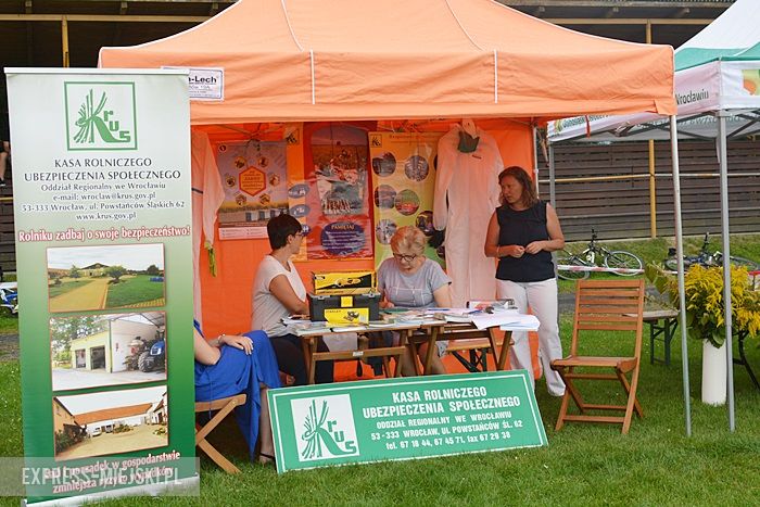 Gminne dożynki w Kostomłotach