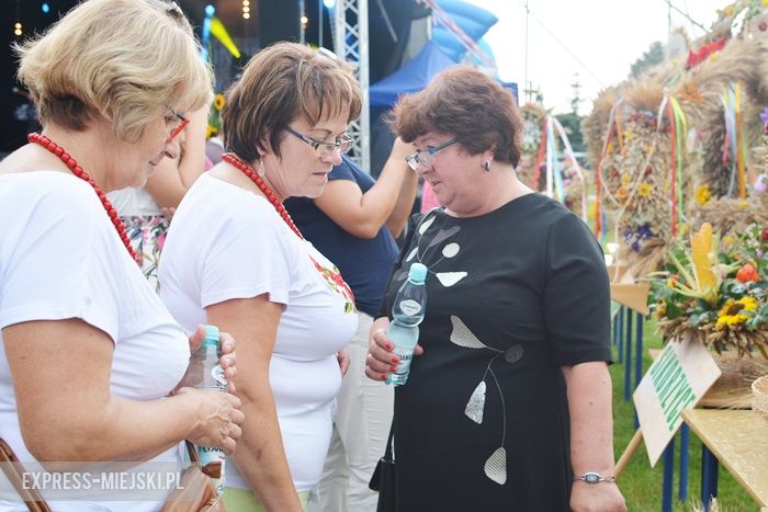 Gminne dożynki w Kostomłotach