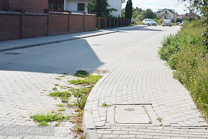 Ulica Henryka Probusa w Środzie Śląskiej