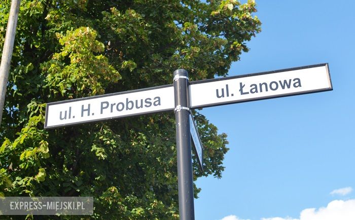 Ulica Henryka Probusa w Środzie Śląskiej