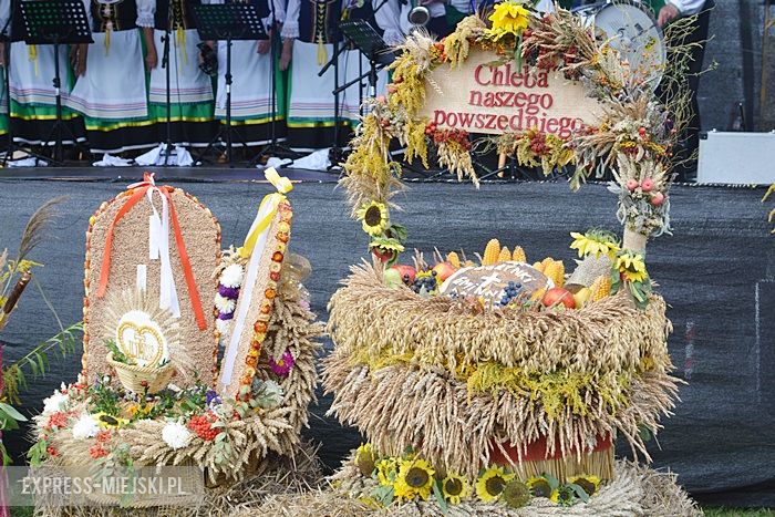 Gminne dożynki w Dębicach