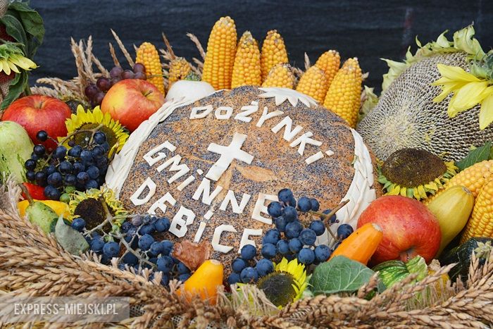 Gminne dożynki w Dębicach