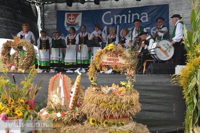 Gminne dożynki w Dębicach