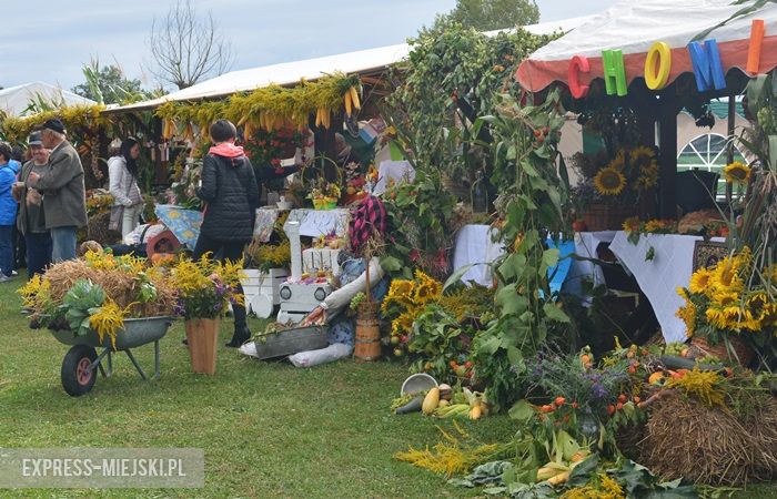 Gminne dożynki w Dębicach