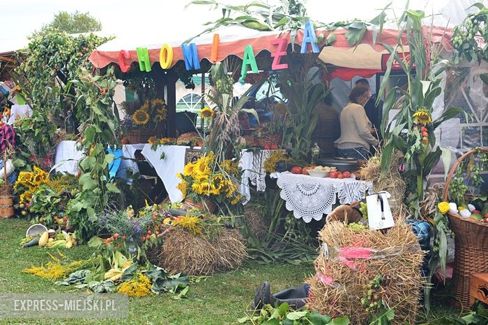Gminne dożynki w Dębicach