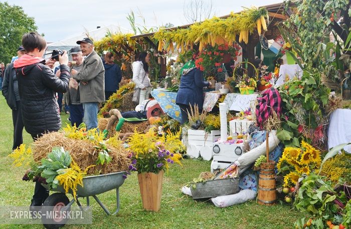 Gminne dożynki w Dębicach