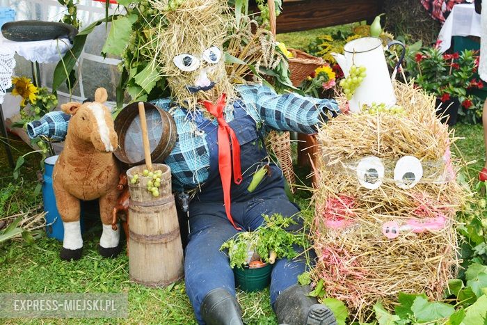 Gminne dożynki w Dębicach