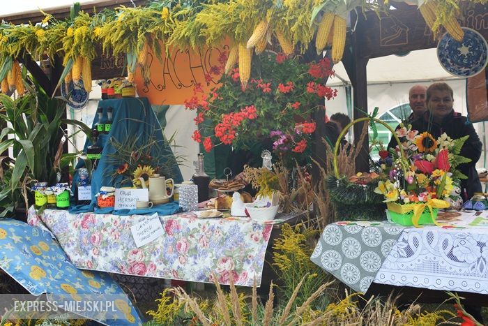 Gminne dożynki w Dębicach