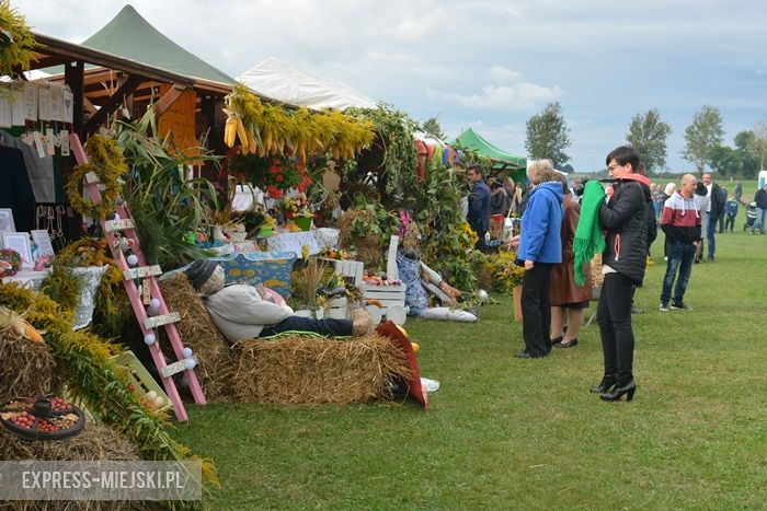 Gminne dożynki w Dębicach