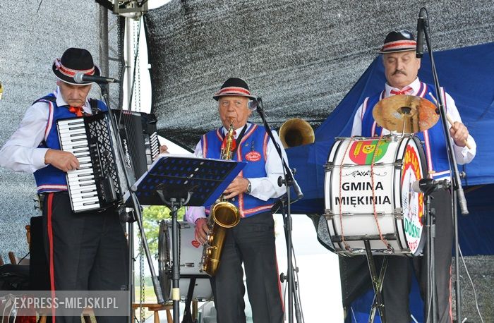 Gminne dożynki w Dębicach