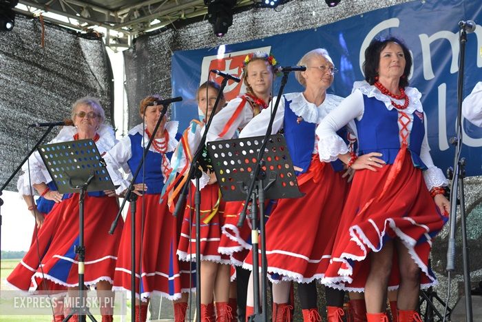 Gminne dożynki w Dębicach