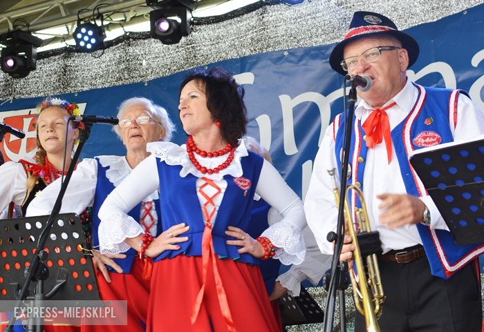 Gminne dożynki w Dębicach