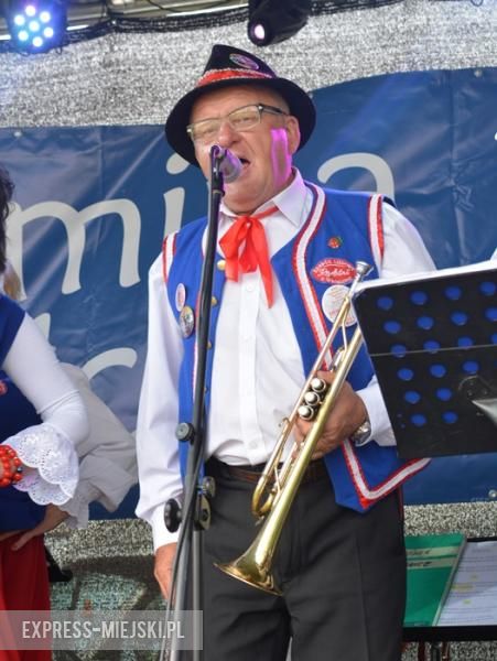 Gminne dożynki w Dębicach