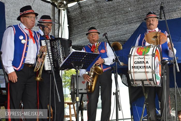 Gminne dożynki w Dębicach