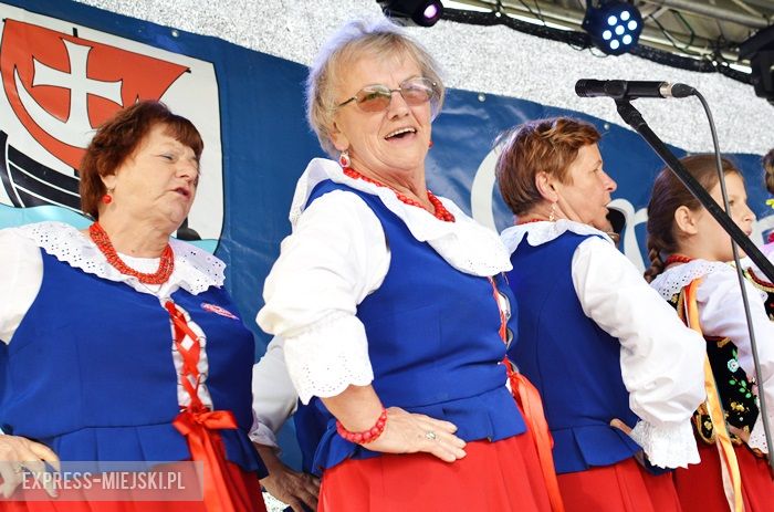 Gminne dożynki w Dębicach