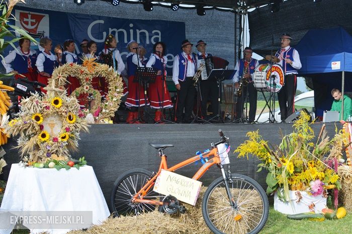 Gminne dożynki w Dębicach