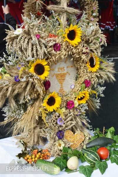 Gminne dożynki w Dębicach