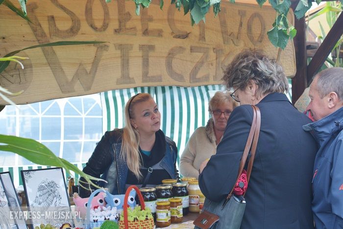 Gminne dożynki w Dębicach