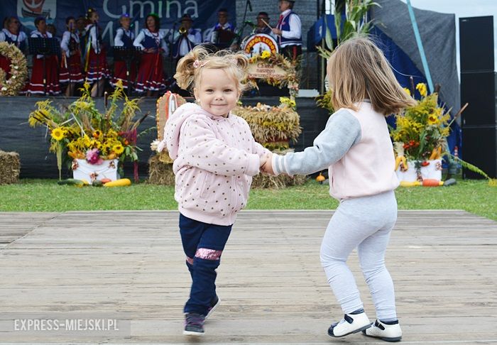 Gminne dożynki w Dębicach