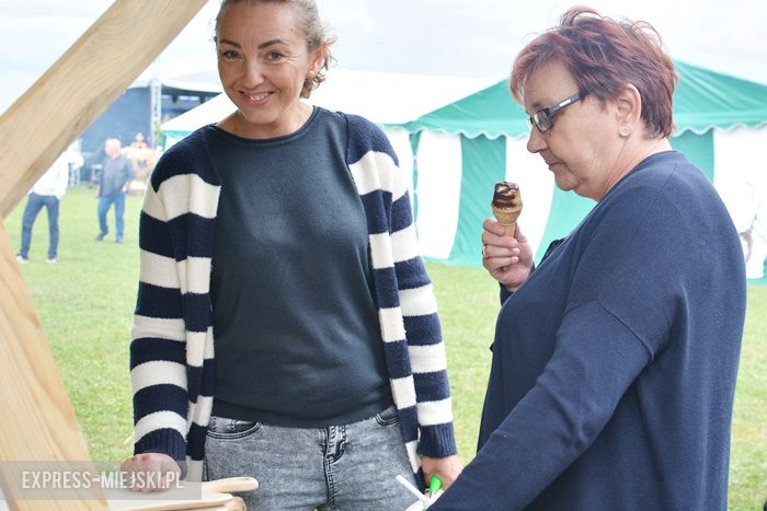 Gminne dożynki w Dębicach