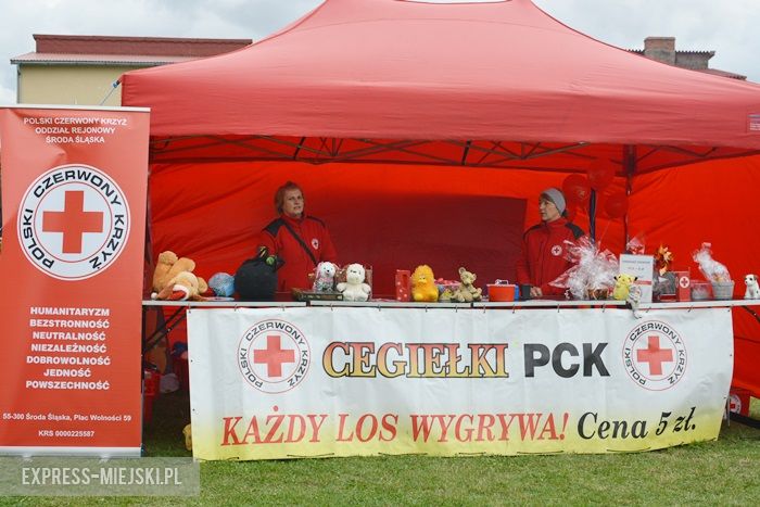 Gminne dożynki w Dębicach