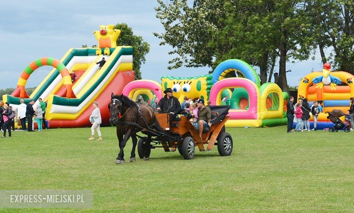 Gminne dożynki w Dębicach