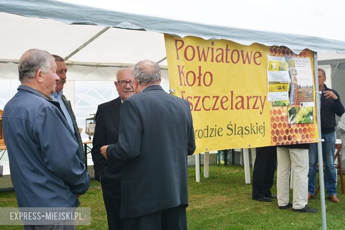 Gminne dożynki w Dębicach