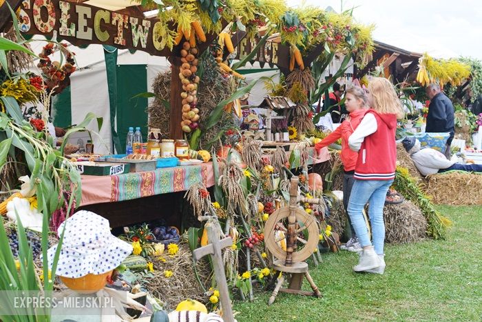 Gminne dożynki w Dębicach