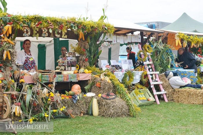 Gminne dożynki w Dębicach