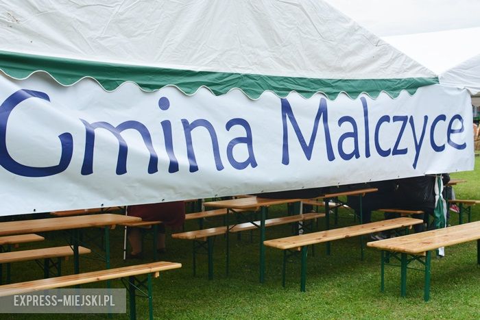 Gminne dożynki w Dębicach