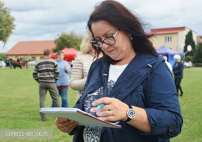 Gminne dożynki w Dębicach