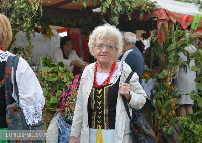 Gminne dożynki w Dębicach