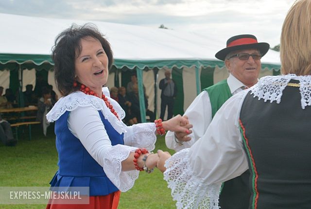 Gminne dożynki w Dębicach