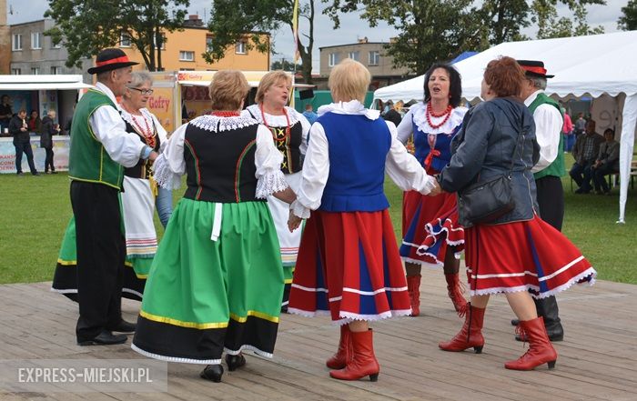 Gminne dożynki w Dębicach