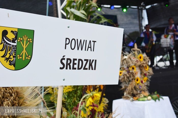 Gminne dożynki w Dębicach