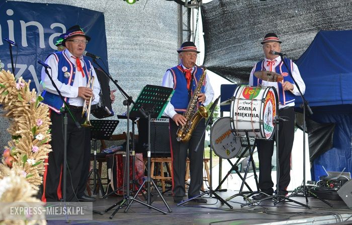 Gminne dożynki w Dębicach