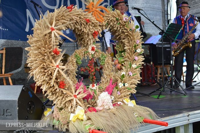 Gminne dożynki w Dębicach