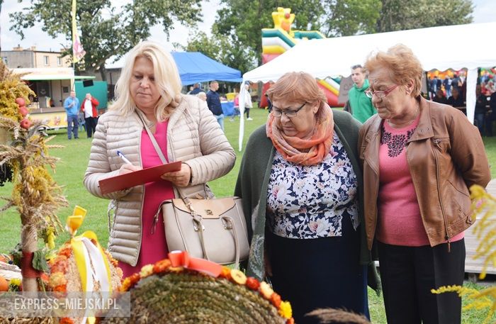 Gminne dożynki w Dębicach