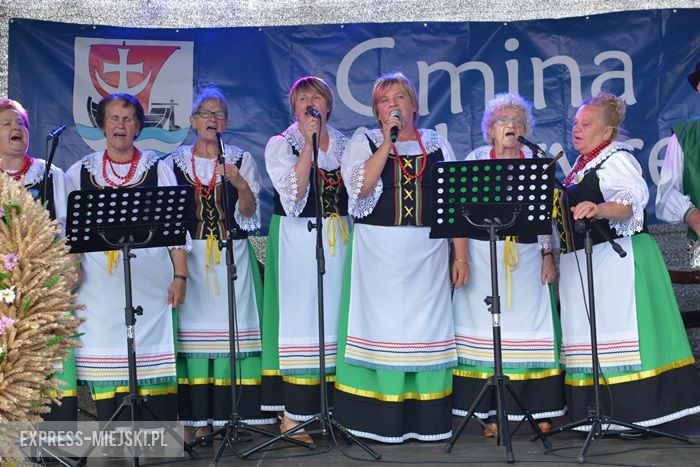 Gminne dożynki w Dębicach