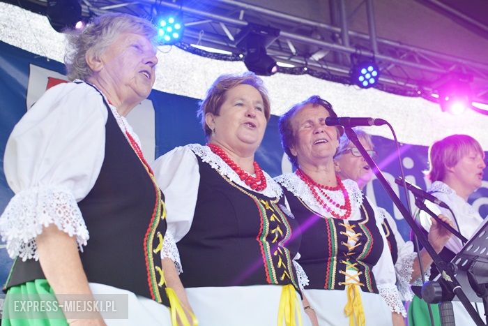 Gminne dożynki w Dębicach