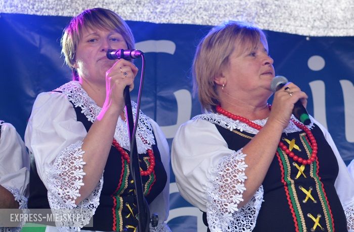 Gminne dożynki w Dębicach