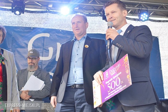 Gminne dożynki w Dębicach