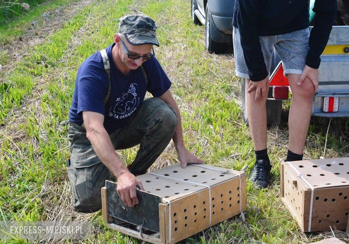 Akcja "Ożywić pola"