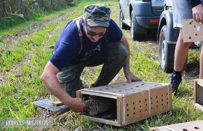 Akcja "Ożywić pola"